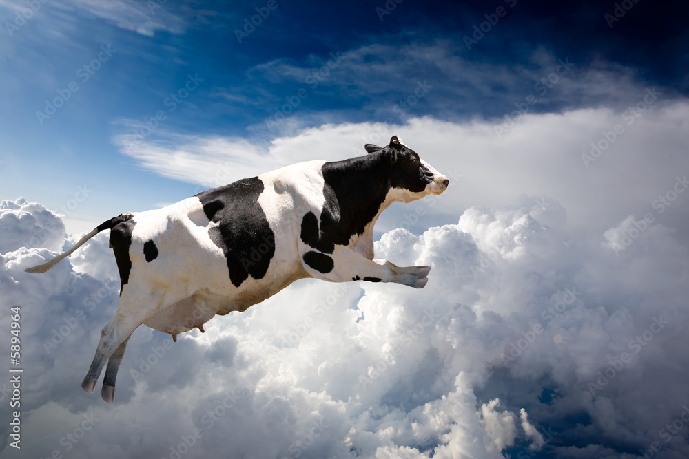 A super cow flying over clouds - obrazy, fototapety, plakaty 