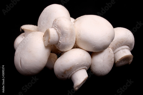 mushrooms on black background