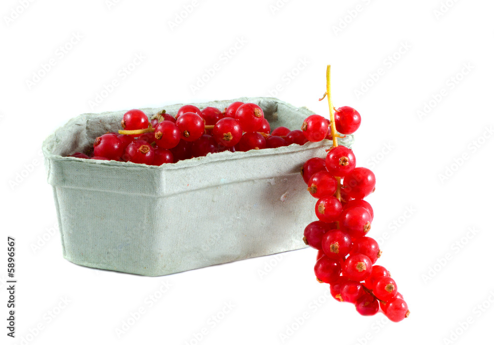 Red currant. Isolation on the white. Red currant. Isolation on the white.