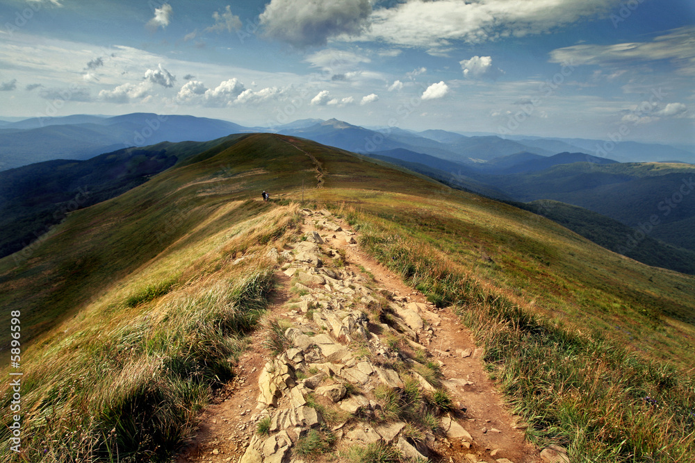 Obraz premium national park Bieszczady