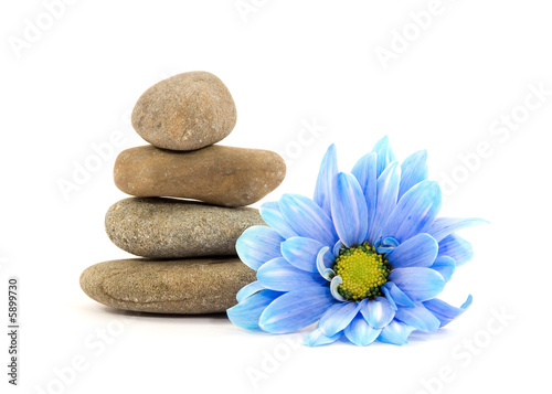therapy stones with flowers isolated