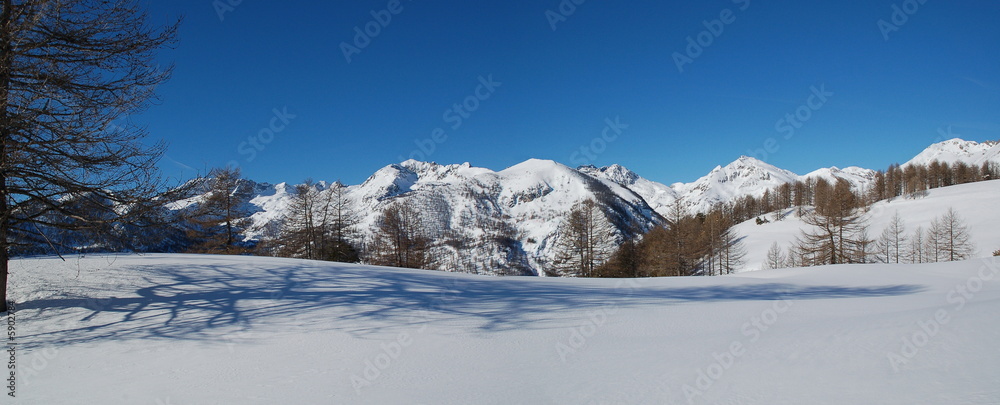 Fototapeta premium panorama neige et montagne