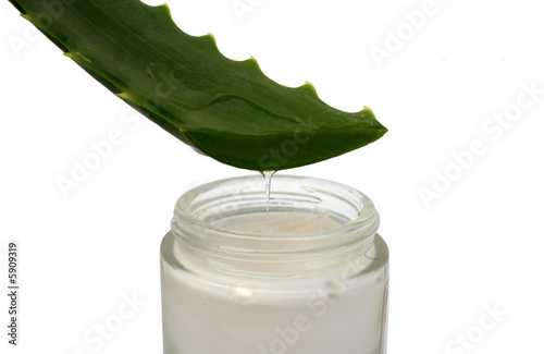 aloe en crema