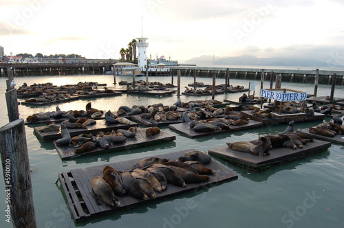 Seals