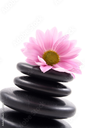 pebbles stack with pink daisy isolated on white