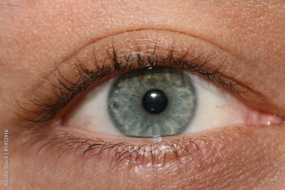 Fototapeta premium Eye