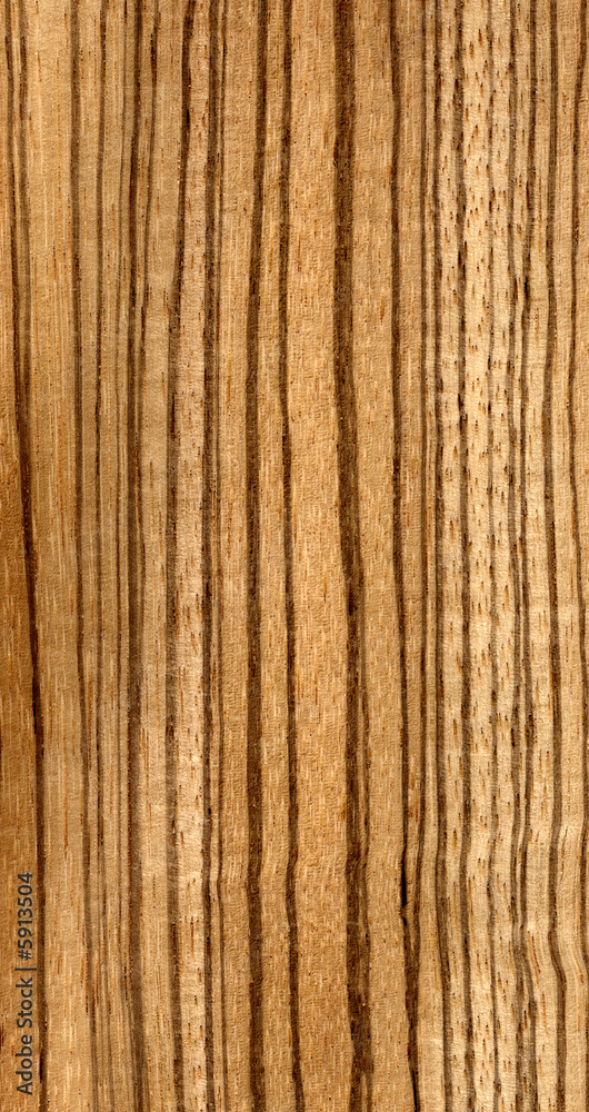 legno zebrano legno zebrano