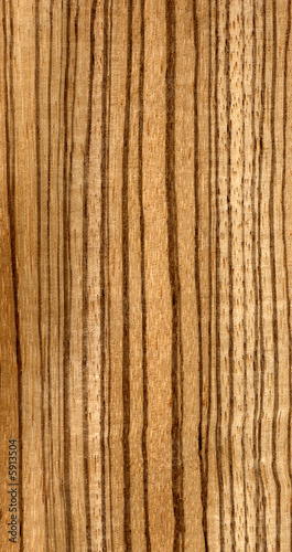 legno zebrano photo