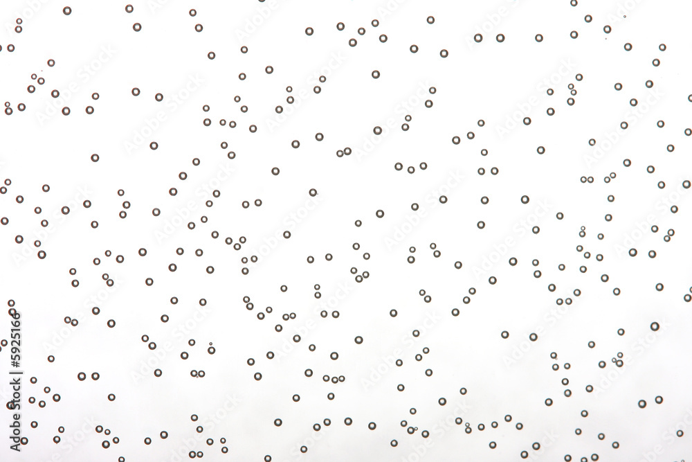 water bubbles shot with macro lens in studio water bubbles shot with macro lens in studio