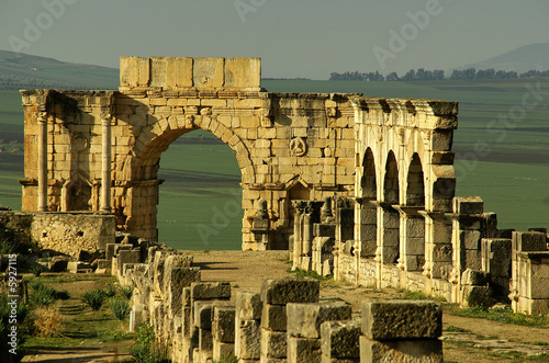 Volubilis photo