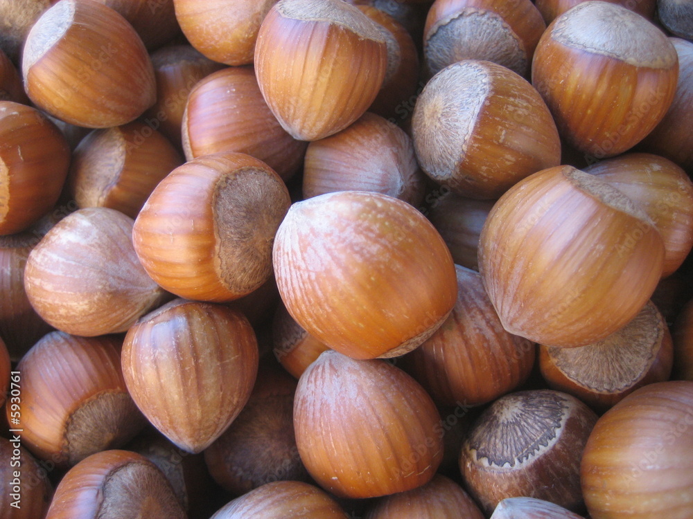 noisettes noisettes