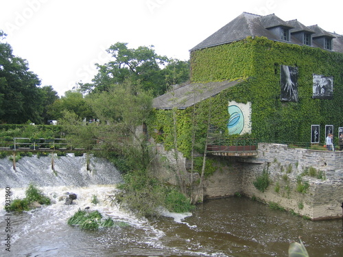 Plantes au laboratoire de La Gacilly, Bretagne