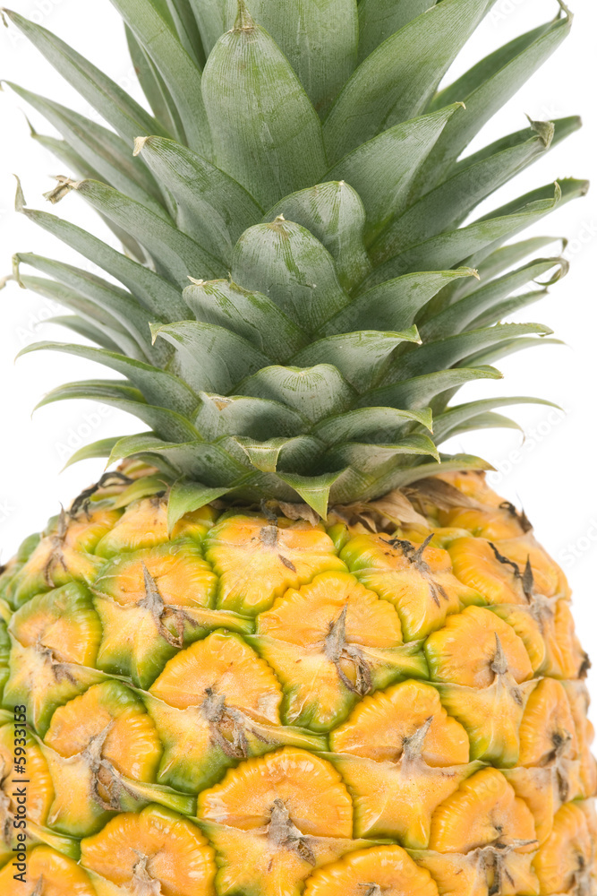 Fototapeta premium Pineapple with white background