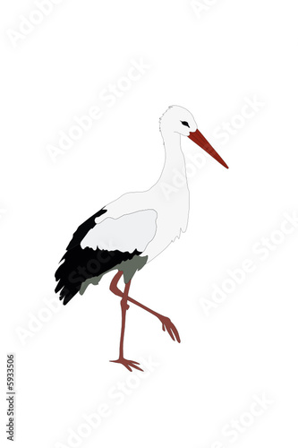 vector White stork stand on one leg