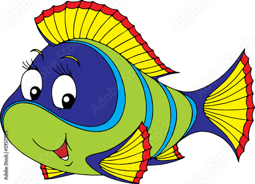 Coral fish
