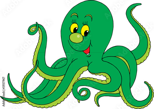 Octopus