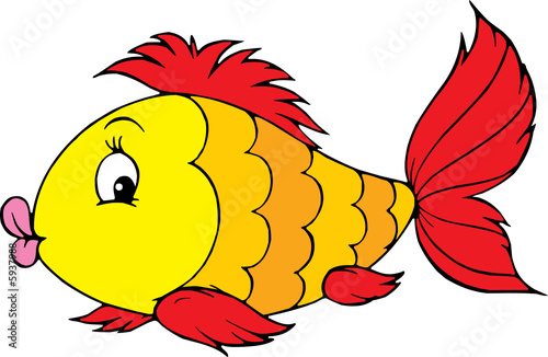 Fish