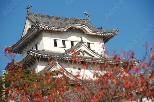 château Himeji photo