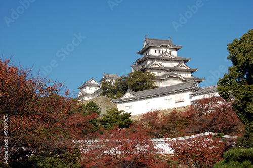 château Himeji photo