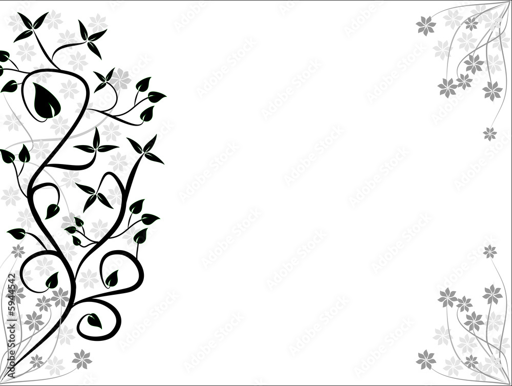 Black and White Floral Background