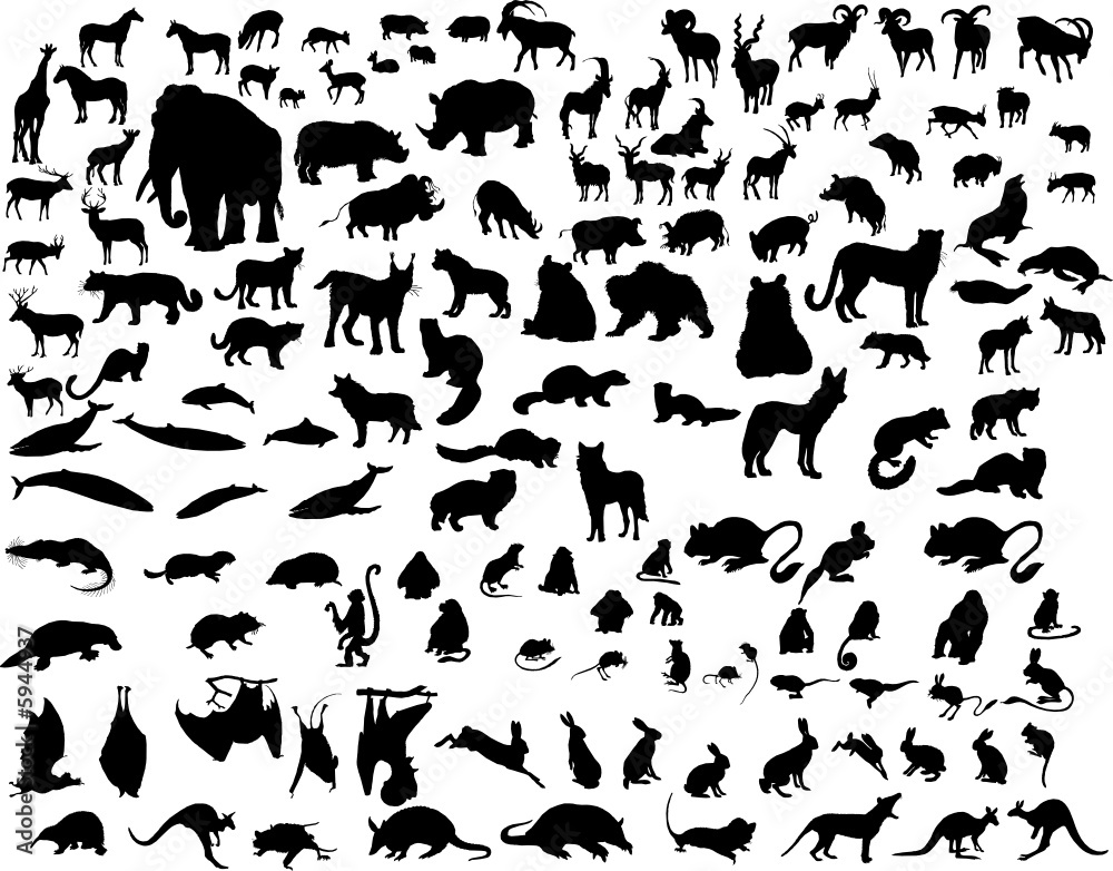 vector animals silhouette Stock Vector | Adobe Stock