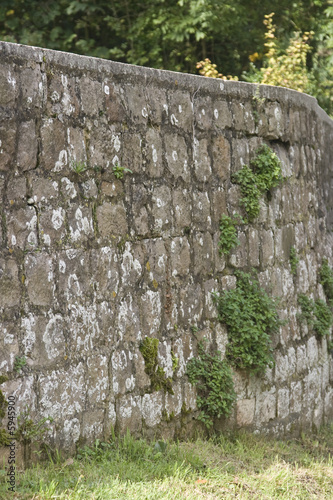 Brick wall with vegetation