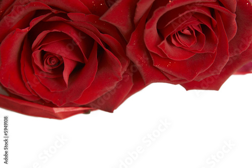 Fototapeta Naklejka Na Ścianę i Meble -  Beautiful bouquet of dark red roses on white