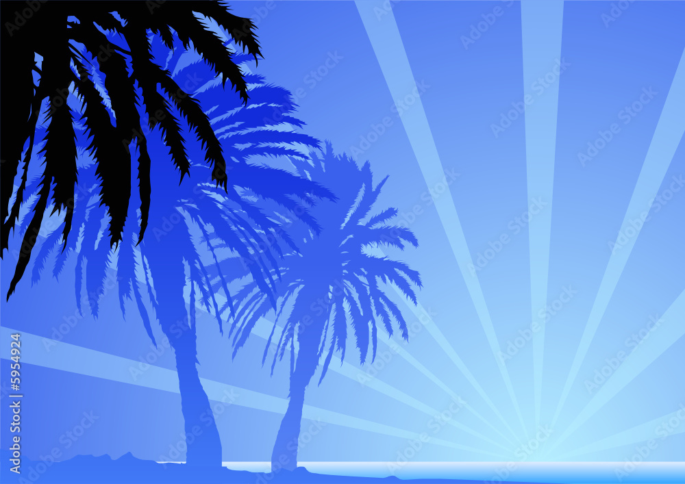 Palme e sole tropicali