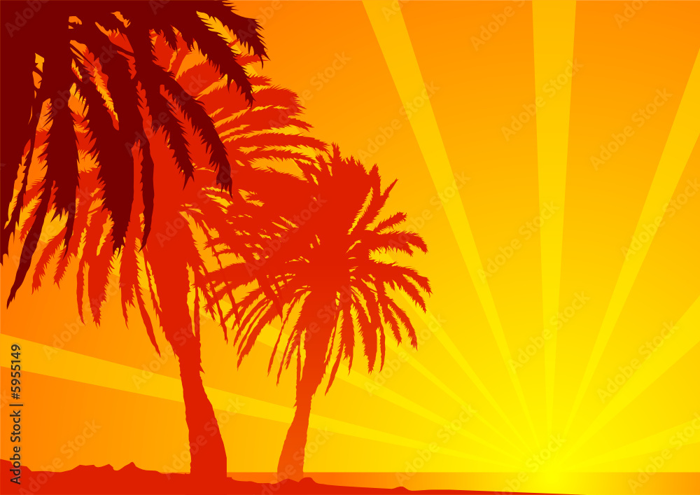 Palme e mare tropicali
