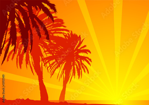 Palme e mare tropicali