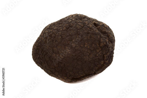 Black winter truffle from France