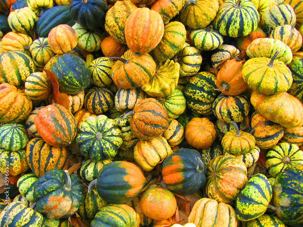 Embellishing pumpkins Embellishing pumpkins