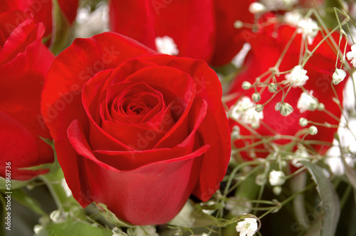 Red Rose in a bouquet of roses & baby's breath