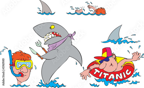 Divers and sharks