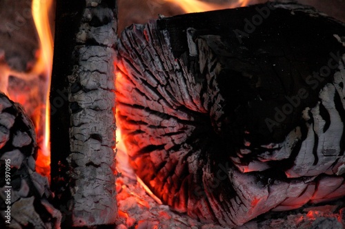 Legna nel fuoco