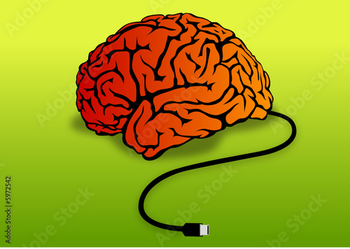 Brain connect