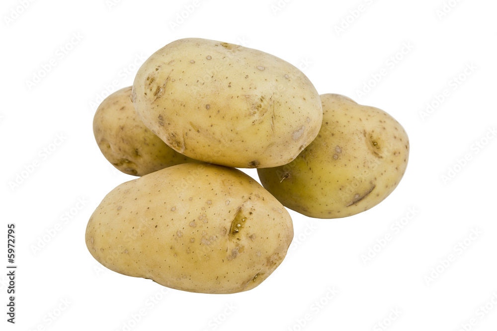four young potatoes isolated on perfectly white background four young potatoes isolated on perfectly white background