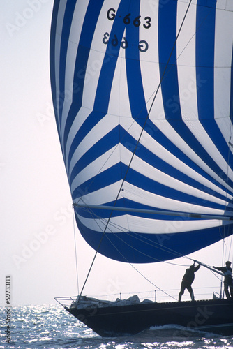 Spinnaker photo