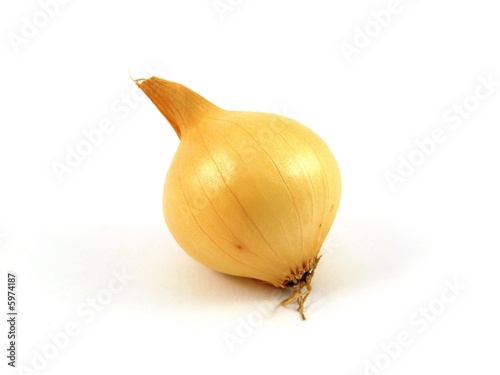 Photo Bulb root vegetable