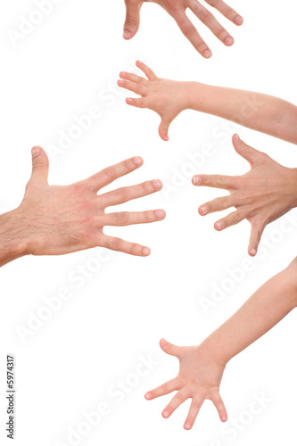 lots of human hands isolated on white