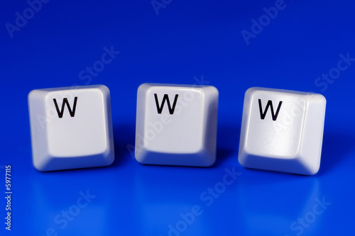 world wide web