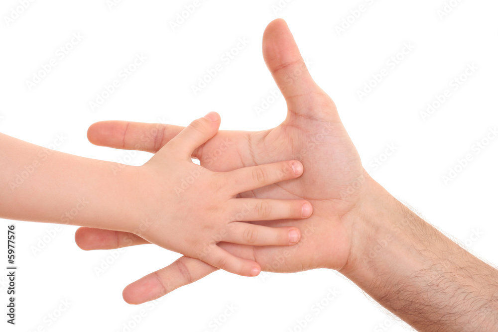 two hands - one of man and one of child isolated on white