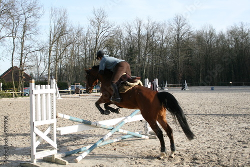 saut d'obstacles