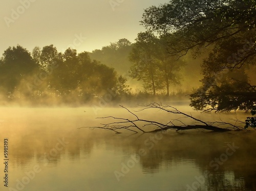 Фотография Gloomy look on hazy scenery