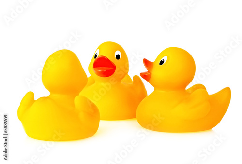 Fotografie Rubber ducks deep in conversation.