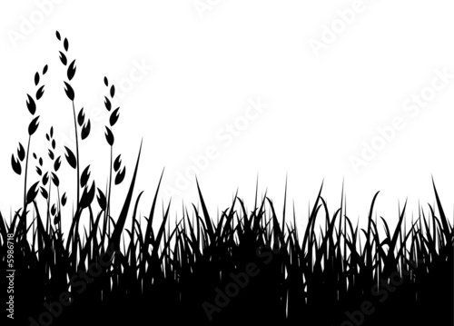 grass vector illustration / horizontal / black silhouette #5986718