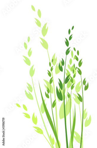 grass vector illustration / horizontal / colored silhouette
