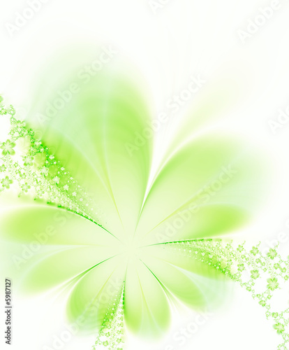 Beautiful flowers