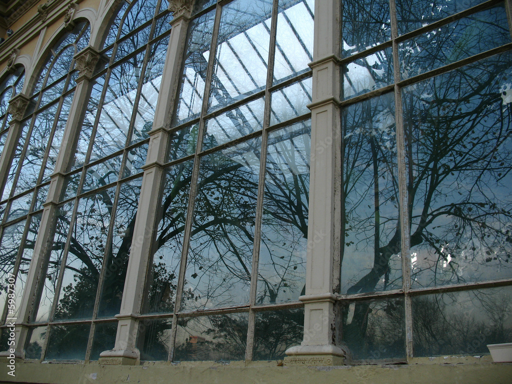 Fototapeta premium Invernadero