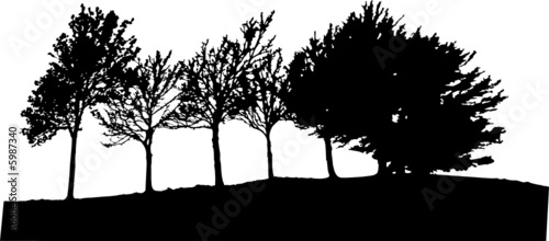 Vector trees